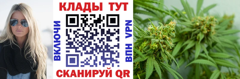 Какие есть наркотики Алзамай Галлюциногенные грибы  Мефедрон  ГАШ  MDMA  А ПВП  Бошки Шишки 