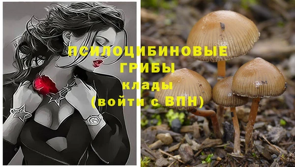 бутират Алексеевка