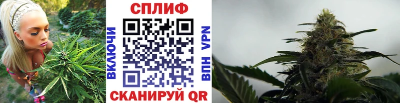 Марихуана OG Kush  мега   Алзамай 